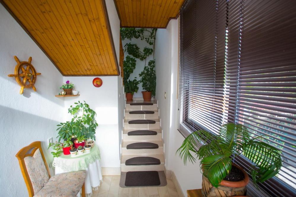Apartments Tanja Podgora Exterior photo